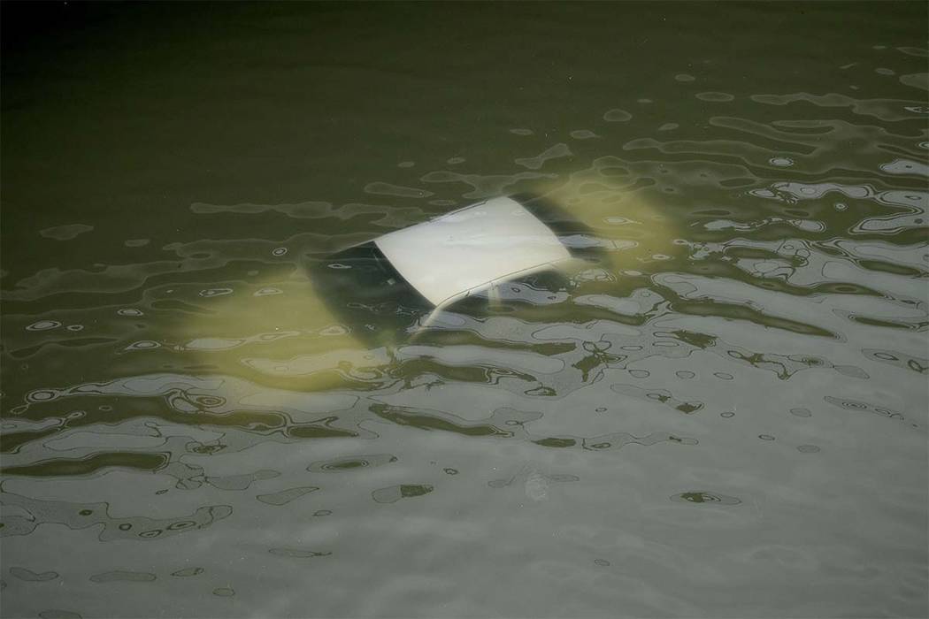 harvey.jpg