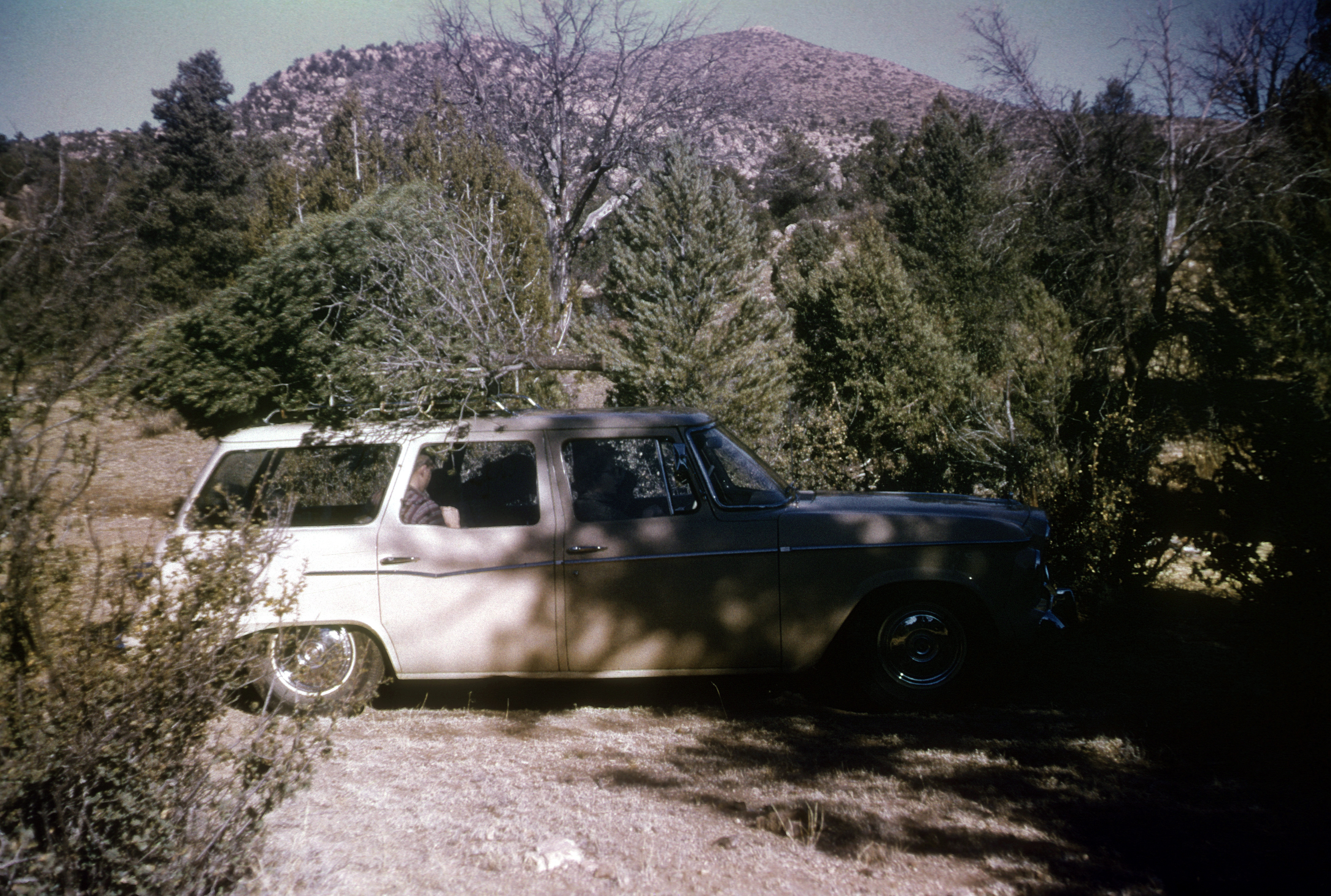 studebaker christmas tree